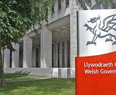 welsh government flag.jpeg